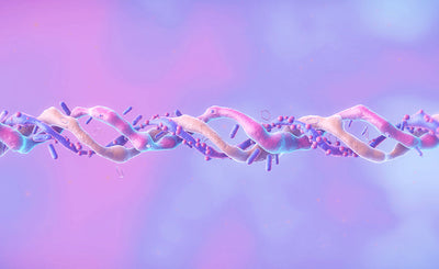 The Hidden Link Between Collagen and Your Pelvic Floor: A Life-Changing Discovery