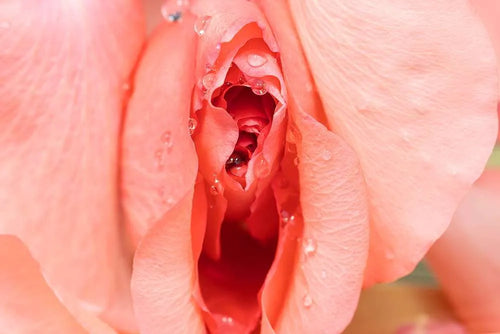 How to Create a Stronger Pelvic Floor With Collagen