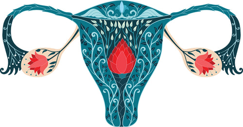 The Hidden Link Between Your Gut and Your Lady Parts: A Game Changer for Women’s Wellness