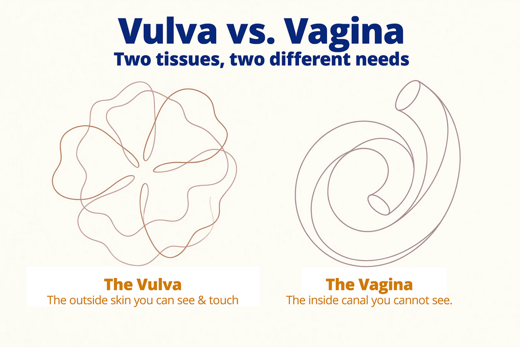 Vulva vs. Vagina: Why Does the Outside Skin Need Its Own Care?
