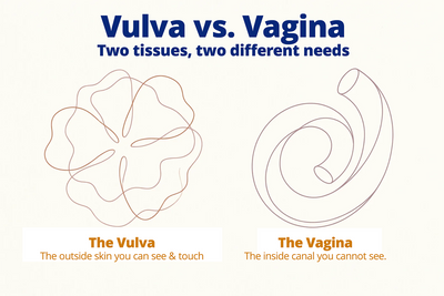 Vulva vs. Vagina: Why Does the Outside Skin Need Its Own Care?