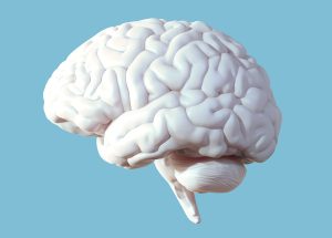 Is Your Brain Sending You Distress Signals? 5 Warning Signs You Shouldn't Ignore