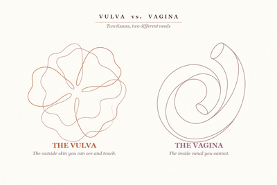 Vulva vs. Vagina: Why Does the Outside Skin Need Its Own Care?