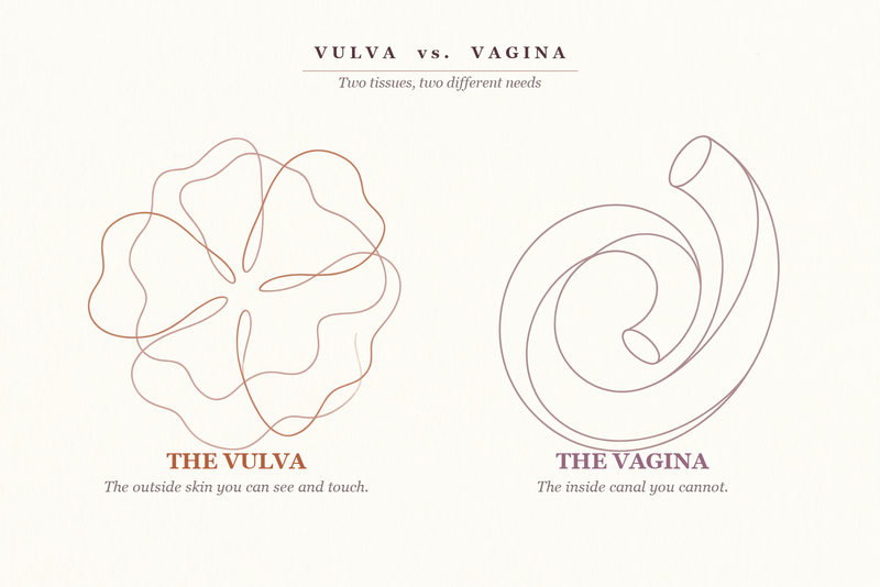 Vulva vs. Vagina: Why Does the Outside Skin Need Its Own Care?