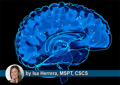 Your Menopause Brain Is Not Aging. It Is Recalibrating