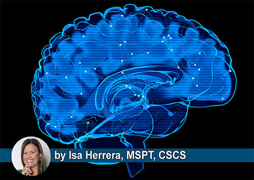 Your Menopause Brain Is Not Aging. It Is Recalibrating