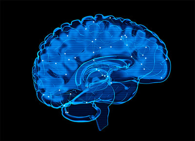 Your Menopause Brain Is Not Aging. It Is Recalibrating