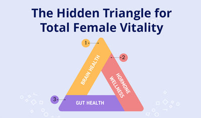 The Female Power Triangle: Your Gut’s Surprising Control Over Your Hormones, Brain, and Total Wellness