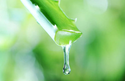 The 8 Best Supplements for a Happy Vagina and Bladder (Part 3 of 3)