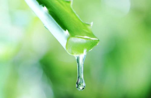 The 8 Best Supplements for a Happy Vagina and Bladder (Part 3 of 3)